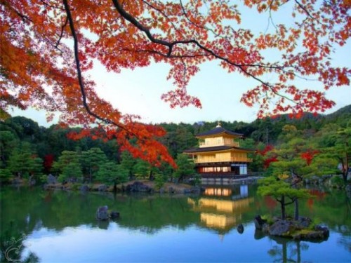 Tokyo, Kyoto, Nara, Osaka,Hiroshima, viaggi, viagi, vacanza oferte, Giappone ,