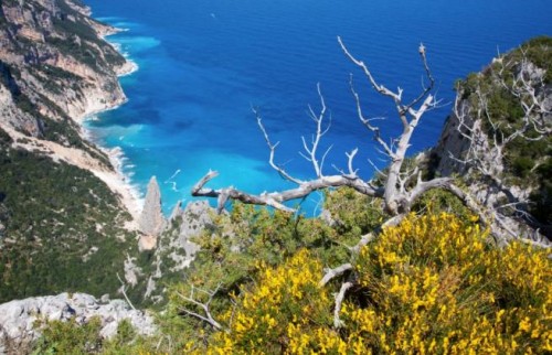 Cala Luna ,viaggi,viagi,vacanza oferte,Grotte del Bue Marino,Sardegna, Golfo Orosei,